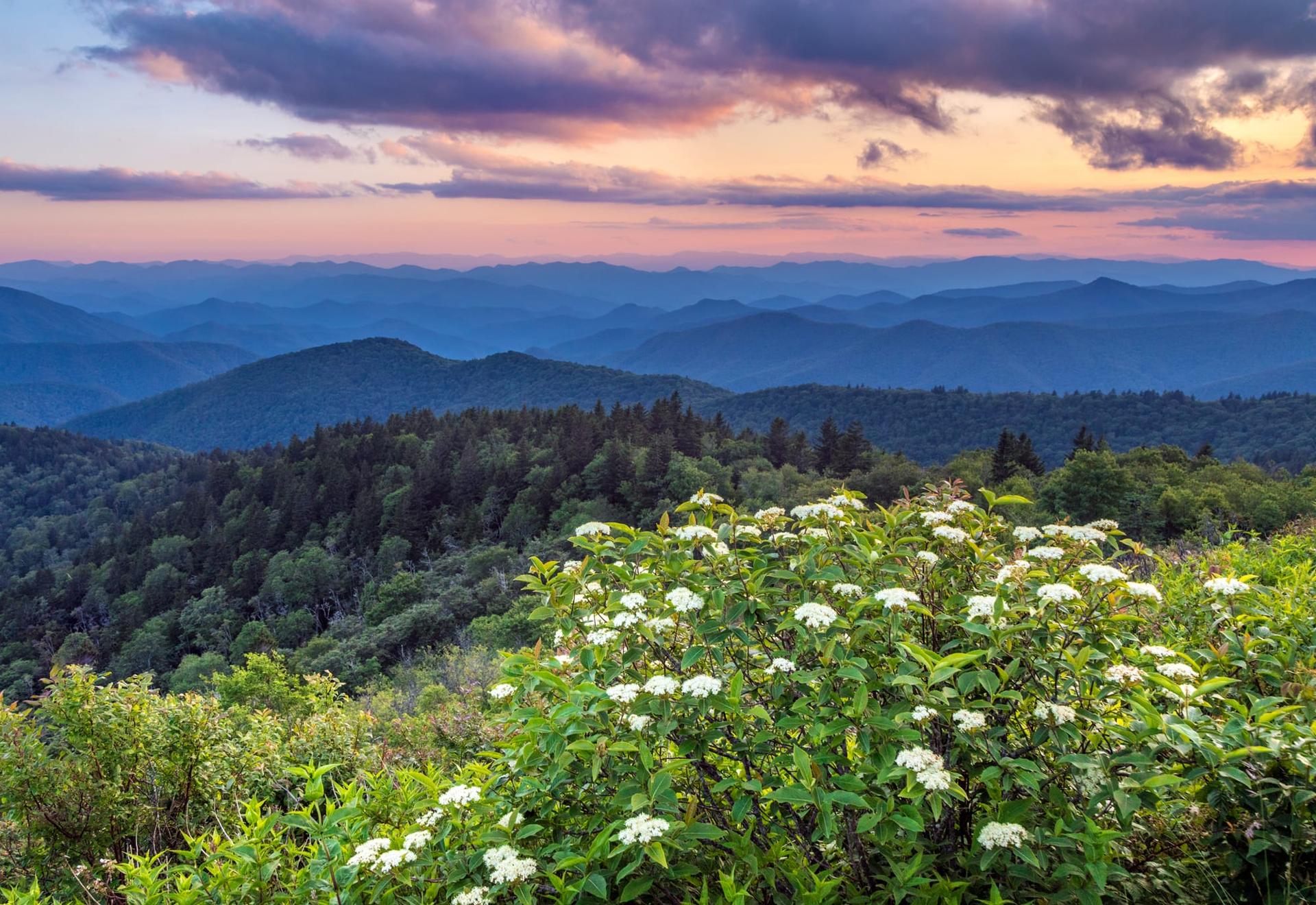 Misty view of the Great Smoky Mountains surrounding Laurel and Loom in Bryson City, NC